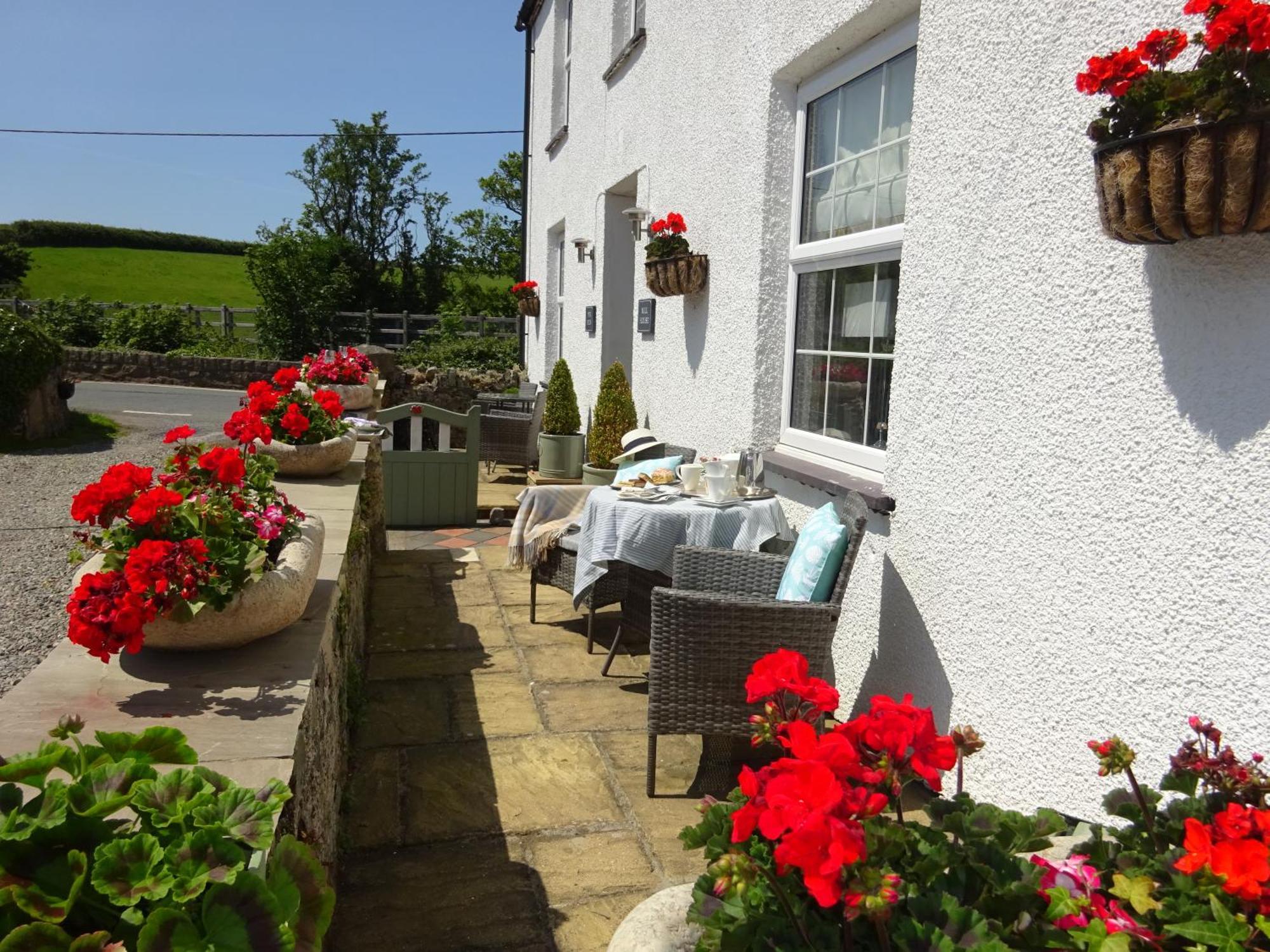Yr Hen Felin - The Old Mill B&B Morfa Nefyn Dış mekan fotoğraf